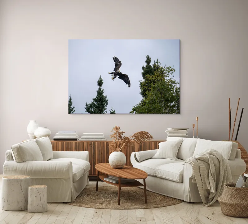 Tablou Canvas, "Vulturul în zbor deasupra pădurii", Vultur, Zbor, Arbori, Cer, Libertate, Natură, Eleganță, Vânător., 150 x 100 cm – poza 3