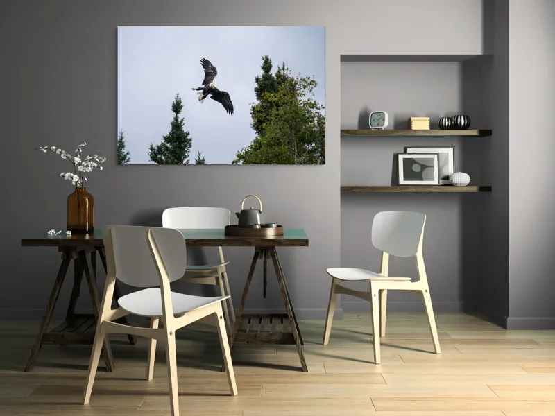 Tablou Canvas, "Vulturul în zbor deasupra pădurii", Vultur, Zbor, Arbori, Cer, Libertate, Natură, Eleganță, Vânător., 150 x 100 cm – poza 5