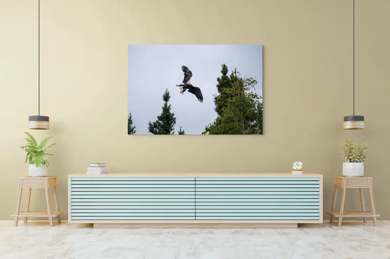 Tablou Canvas, "Vulturul în zbor deasupra pădurii", Vultur, Zbor, Arbori, Cer, Libertate, Natură, Eleganță, Vânător., 150 x 100 cm – poza 6