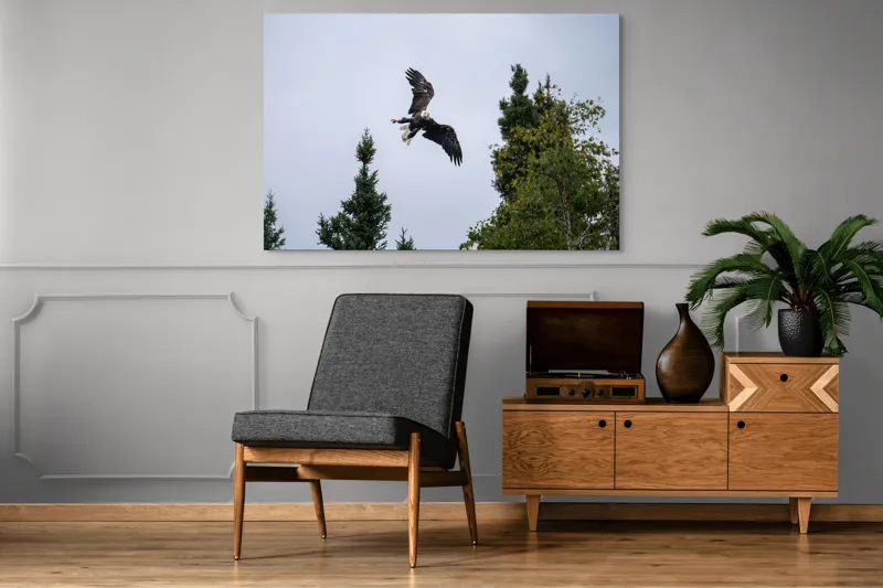 Tablou Canvas, "Vulturul în zbor deasupra pădurii", Vultur, Zbor, Arbori, Cer, Libertate, Natură, Eleganță, Vânător., 150 x 100 cm – poza 8