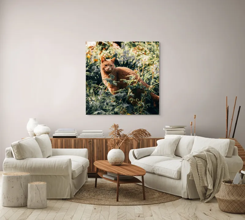 Tablou Canvas, "Pisica roșcată în grădina de vară", Pisică, Roșcată, Blană, Vegetație, Lumină, Umbre, Flori, Curiozitate, 100 x 100 cm – poza 3