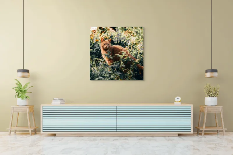 Tablou Canvas, "Pisica roșcată în grădina de vară", Pisică, Roșcată, Blană, Vegetație, Lumină, Umbre, Flori, Curiozitate, 100 x 100 cm – poza 5