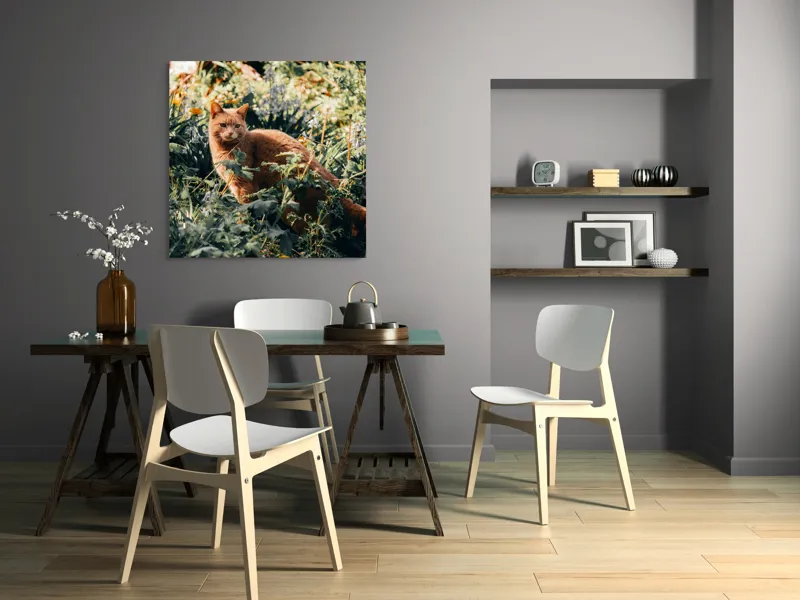Tablou Canvas, "Pisica roșcată în grădina de vară", Pisică, Roșcată, Blană, Vegetație, Lumină, Umbre, Flori, Curiozitate, 100 x 100 cm – poza 6