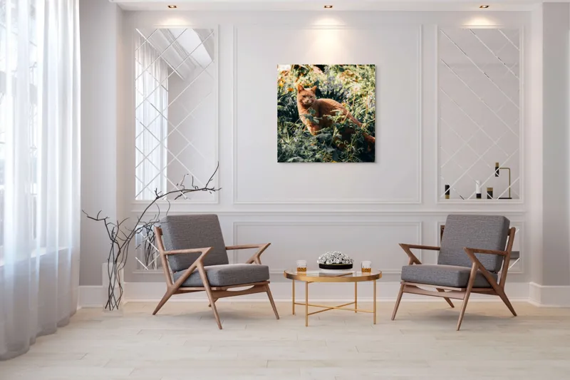 Tablou Canvas, "Pisica roșcată în grădina de vară", Pisică, Roșcată, Blană, Vegetație, Lumină, Umbre, Flori, Curiozitate, 100 x 100 cm – poza 7