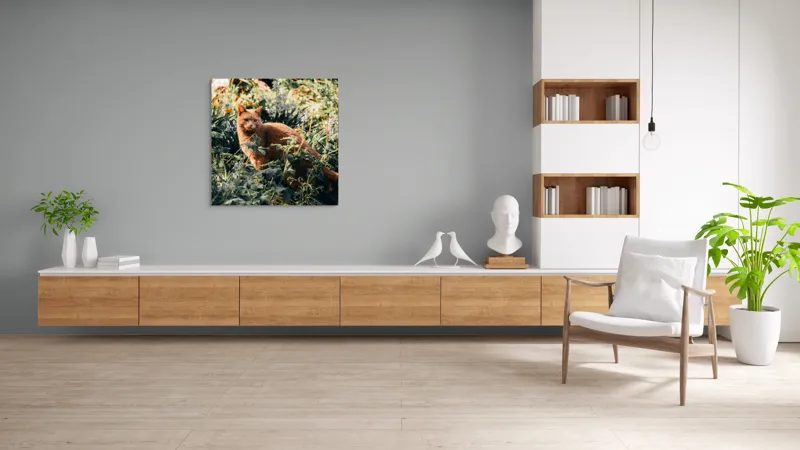 Tablou Canvas, "Pisica roșcată în grădina de vară", Pisică, Roșcată, Blană, Vegetație, Lumină, Umbre, Flori, Curiozitate, 100 x 100 cm – poza 8