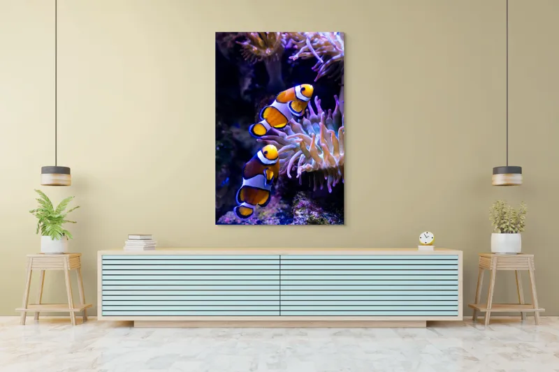 Tablou Canvas, "Clovni colorați printre corali vibranți", Pești, Clovn, Portocalii, Anemone, Coral, Subacvatic, Colorat, Frumos, Acvariu, Vieți, Natură, Ocean, Vibrant., 100 x 150 cm – poza 4