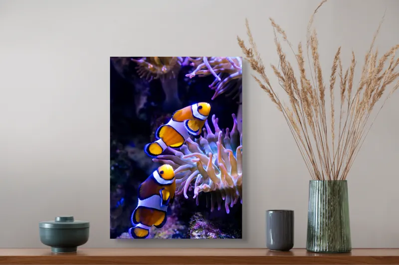 Tablou Canvas, "Clovni colorați printre corali vibranți", Pești, Clovn, Portocalii, Anemone, Coral, Subacvatic, Colorat, Frumos, Acvariu, Vieți, Natură, Ocean, Vibrant., 39 x 54 cm – poza 3