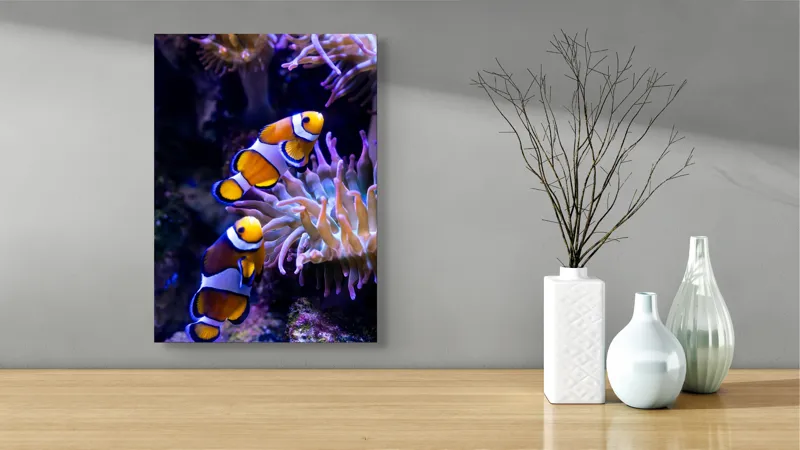 Tablou Canvas, "Clovni colorați printre corali vibranți", Pești, Clovn, Portocalii, Anemone, Coral, Subacvatic, Colorat, Frumos, Acvariu, Vieți, Natură, Ocean, Vibrant., 39 x 54 cm – poza 4