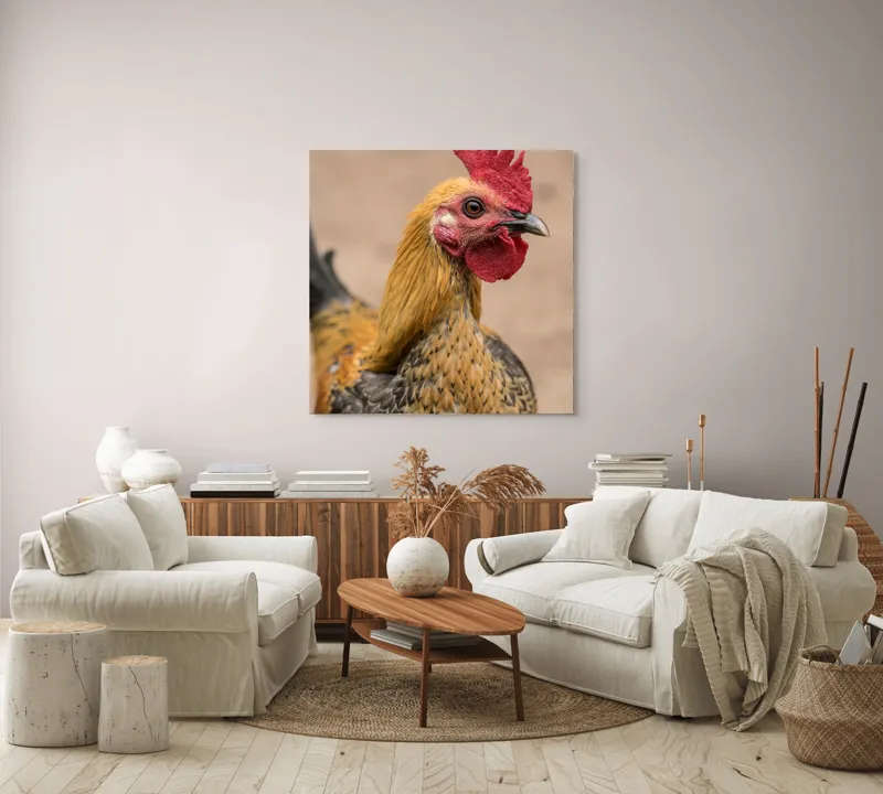 Tablou Canvas, "Cocoşul mândru al dimineţii răsăritene", 100 x 100 cm – poza 3