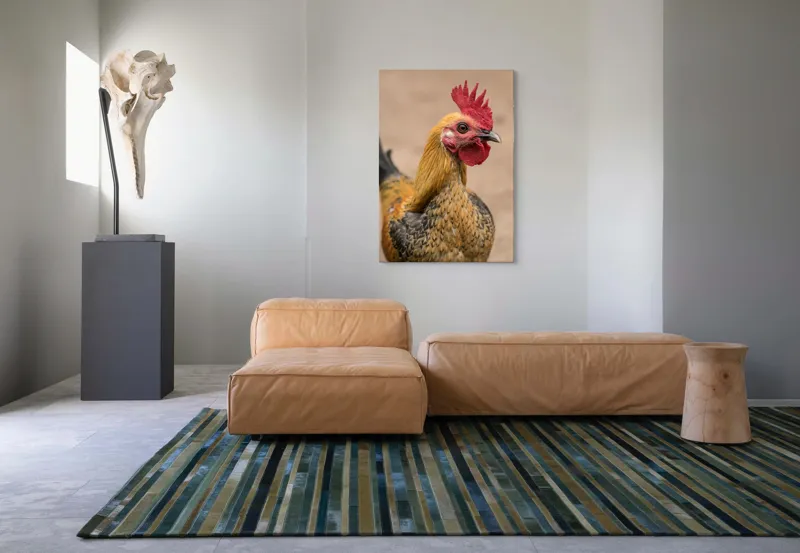 Tablou Canvas, "Cocoşul mândru al dimineţii răsăritene", 70 x 100 cm – poza 7