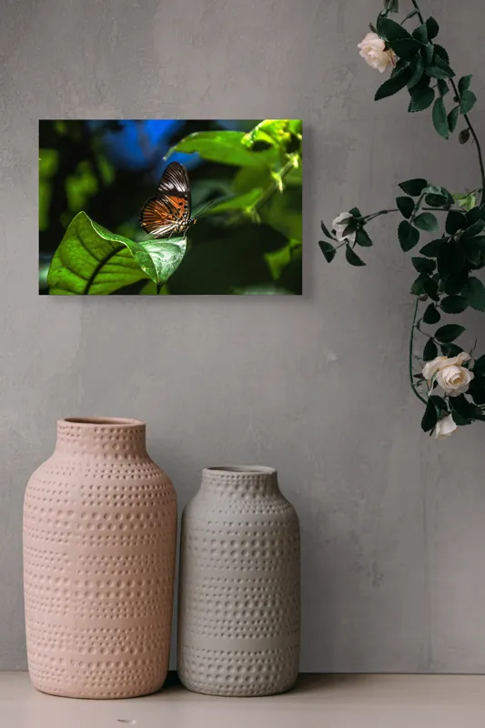 Tablou Canvas, "Fluture fermecat pe frunză verde", Fluture, Frunze, Lumina, Umbră, Natură, Culoare, Viu, Delicat, Aripi, Contrast, 39 x 26 cm – poza 4