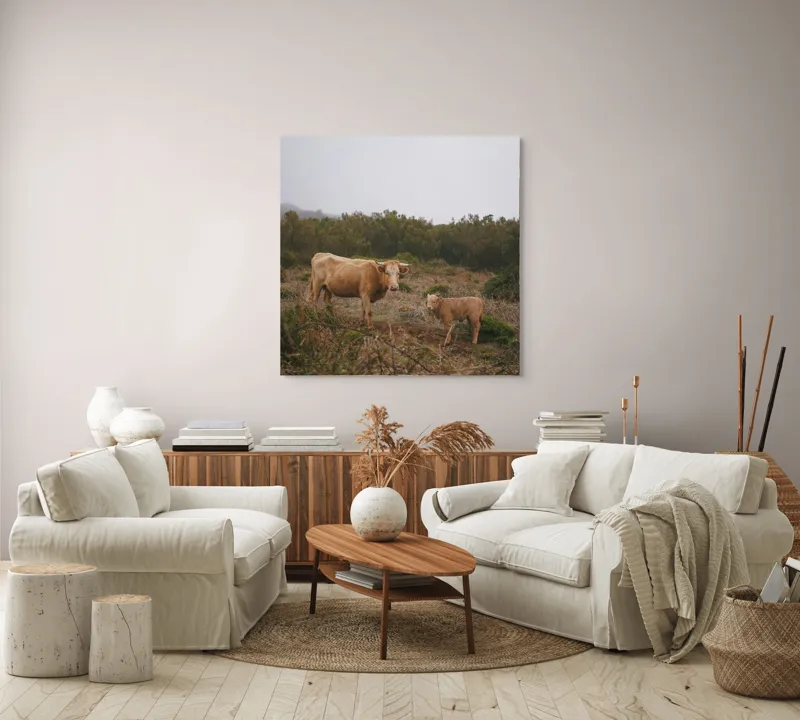 Tablou Canvas, "Vacă și vițel în peisaj rural", Vacă, Vițel, Natură, Câmp, Ceață, Vegetație, Peisaj, Rural, Calm, Pastoral, 100 x 100 cm – poza 3
