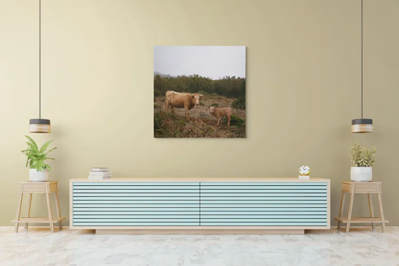Tablou Canvas, "Vacă și vițel în peisaj rural", Vacă, Vițel, Natură, Câmp, Ceață, Vegetație, Peisaj, Rural, Calm, Pastoral, 100 x 100 cm – poza 5