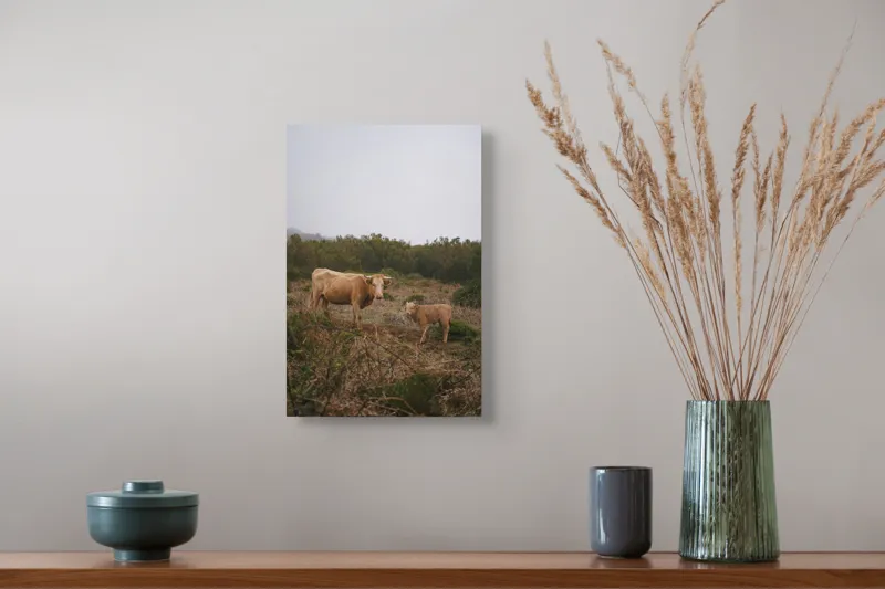Tablou Canvas, "Vacă și vițel în peisaj rural", Vacă, Vițel, Natură, Câmp, Ceață, Vegetație, Peisaj, Rural, Calm, Pastoral, 26 x 39 cm – poza 5
