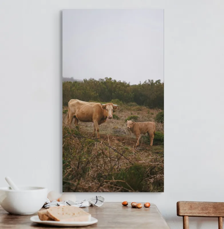 Tablou Canvas, "Vacă și vițel în peisaj rural", Vacă, Vițel, Natură, Câmp, Ceață, Vegetație, Peisaj, Rural, Calm, Pastoral, 50 x 90 cm – poza 3