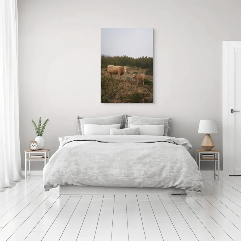 Tablou Canvas, "Vacă și vițel în peisaj rural", Vacă, Vițel, Natură, Câmp, Ceață, Vegetație, Peisaj, Rural, Calm, Pastoral, 70 x 100 cm – poza 3