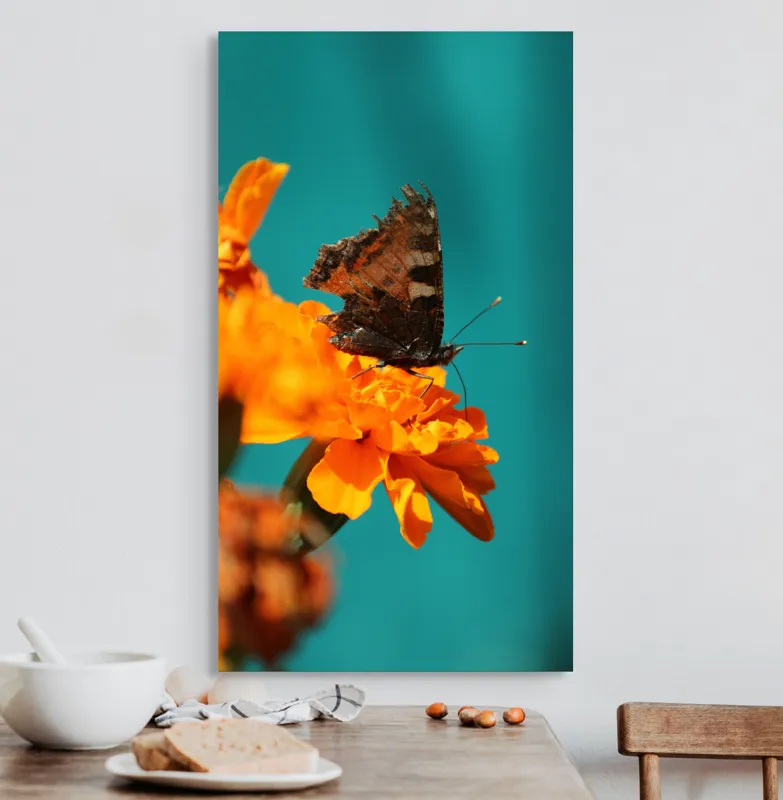 Tablou Canvas, "Fluture pe floare de galbenele", Fluture, Floare, Portocaliu, Aripi, Natura, Contrast, Detaliu, Fragilitate, 50 x 90 cm – poza 3