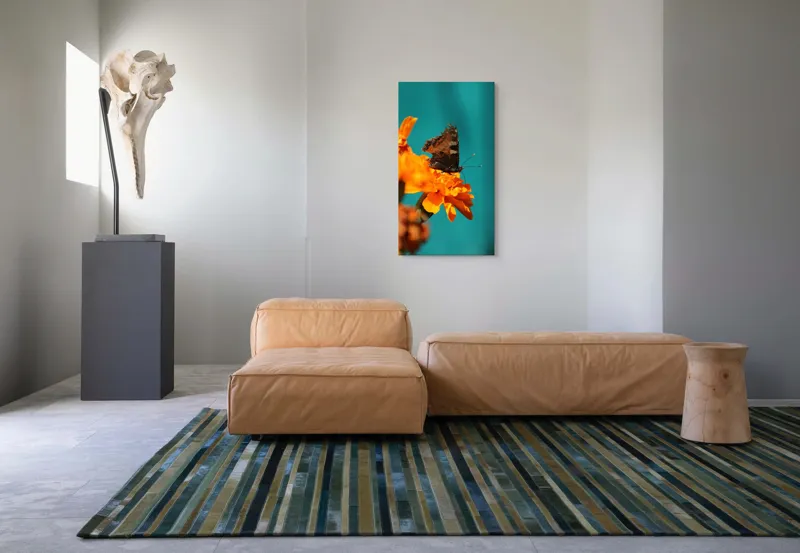 Tablou Canvas, "Fluture pe floare de galbenele", Fluture, Floare, Portocaliu, Aripi, Natura, Contrast, Detaliu, Fragilitate, 50 x 90 cm – poza 5