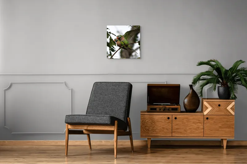 Tablou Canvas, "Dansul păsărilor în natură", Păsări, Colorate, Crenguță, Frunziș, Aripi, Natură, Verde, Interacțiune, Tonuri, Tropicale., 50 x 50 cm – poza 6