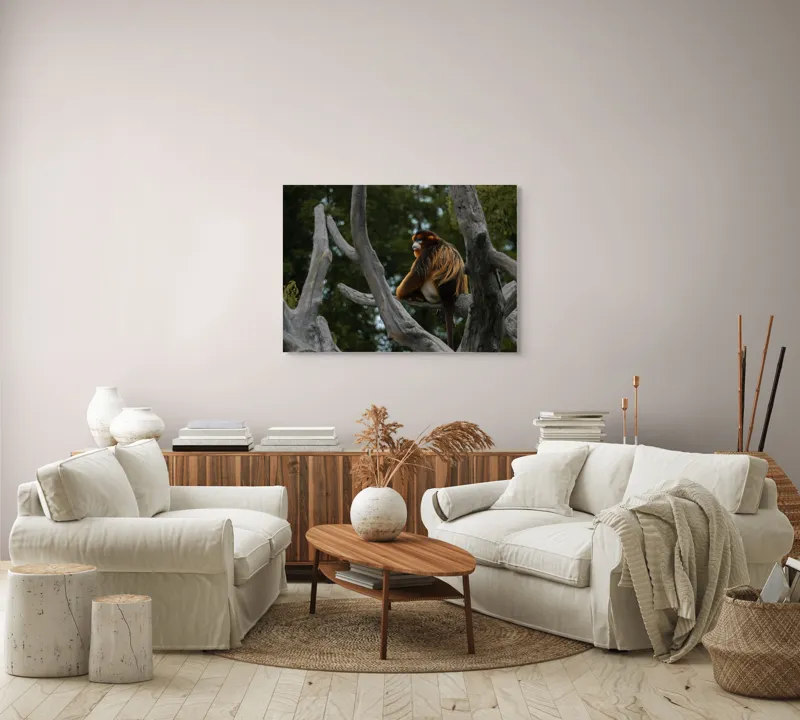 Tablou Canvas, "Maimuță aurie pe ramuri uscate", Scenă, Maimuță, Copac, Blană, Natură, Liniște, Ornamentație, Frunziș, Vedere., 100 x 70 cm – poza 3