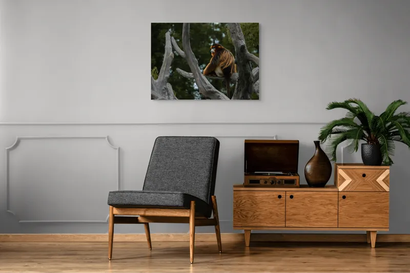 Tablou Canvas, "Maimuță aurie pe ramuri uscate", Scenă, Maimuță, Copac, Blană, Natură, Liniște, Ornamentație, Frunziș, Vedere., 100 x 70 cm – poza 8
