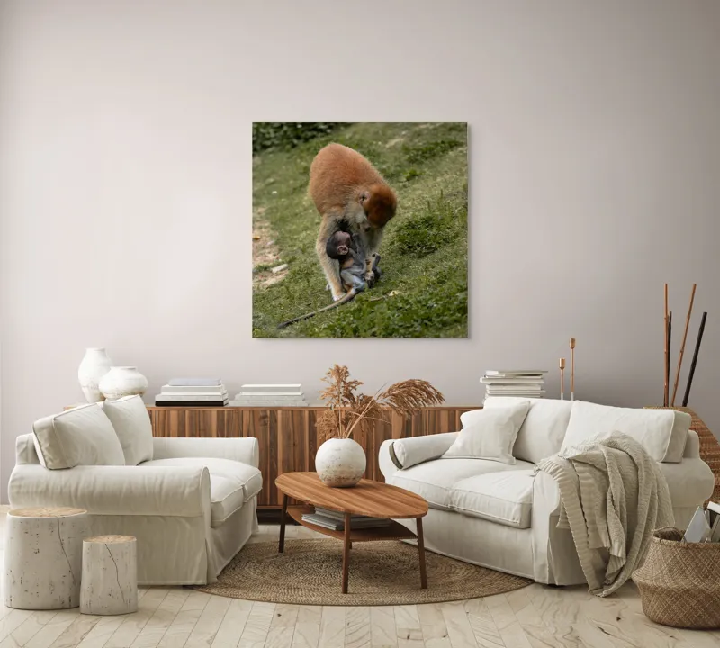 Tablou Canvas, "Familie de maimuțe pe colină verde", 100 x 100 cm – poza 3