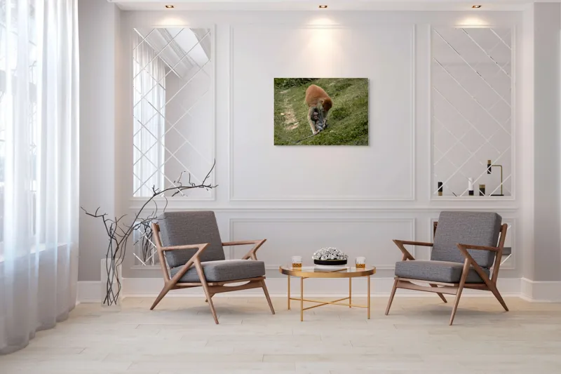 Tablou Canvas, "Familie de maimuțe pe colină verde", 100 x 70 cm – poza 5