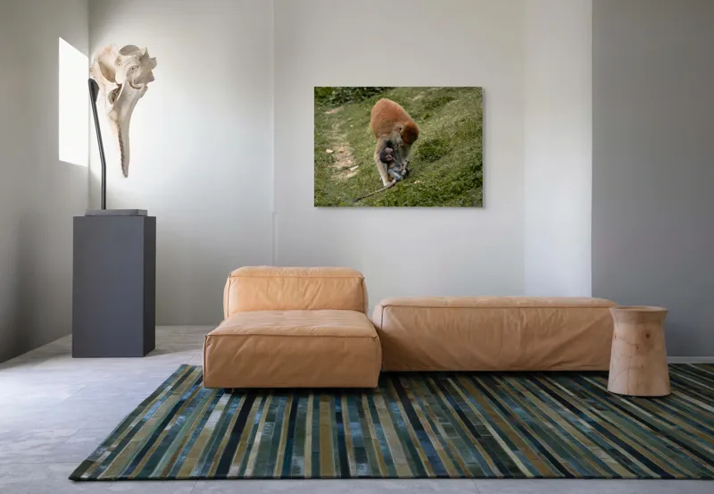 Tablou Canvas, "Familie de maimuțe pe colină verde", 100 x 70 cm – poza 7