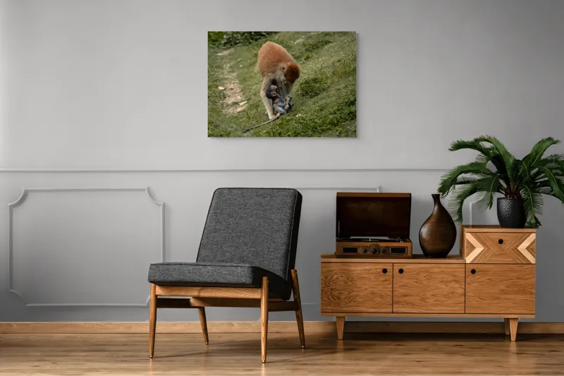 Tablou Canvas, "Familie de maimuțe pe colină verde", 100 x 70 cm – poza 8
