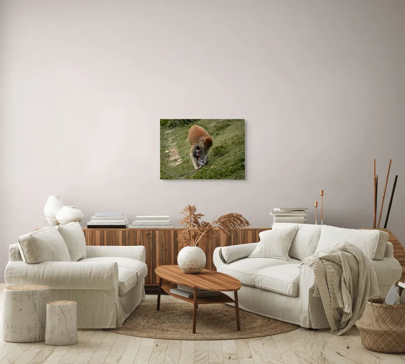Tablou Canvas, "Familie de maimuțe pe colină verde", 70 x 50 cm – poza 6