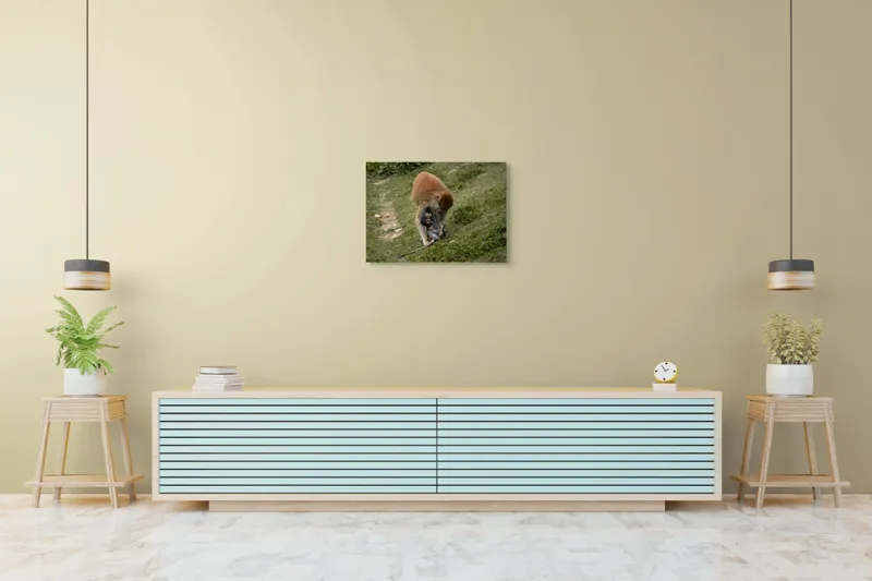 Tablou Canvas, "Familie de maimuțe pe colină verde", 70 x 50 cm – poza 7
