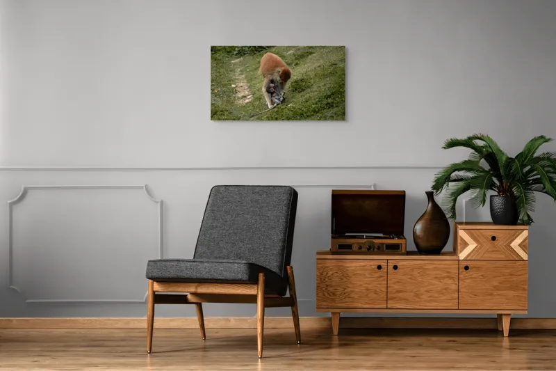 Tablou Canvas, "Familie de maimuțe pe colină verde", 90 x 50 cm – poza 6
