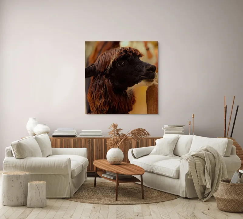 Tablou Canvas, "Capra neagră din incinta lemnoasă", 100 x 100 cm – poza 3