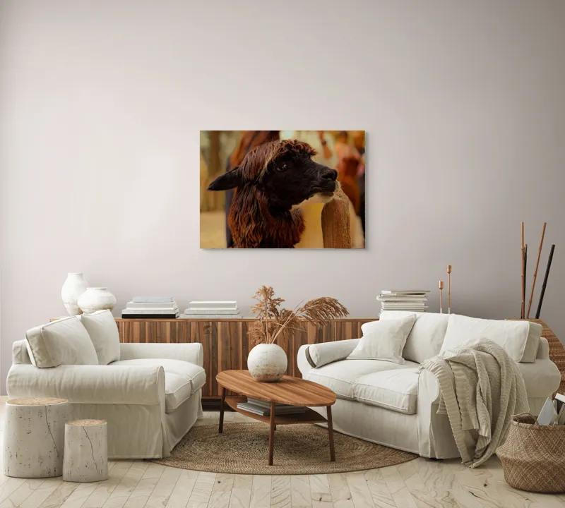 Tablou Canvas, "Capra neagră din incinta lemnoasă", 100 x 70 cm – poza 3