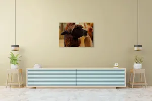 Tablou Canvas, "Capra neagră din incinta lemnoasă", 100 x 70 cm – poza 4