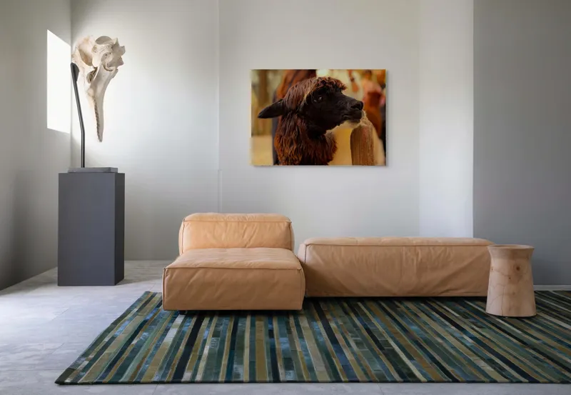 Tablou Canvas, "Capra neagră din incinta lemnoasă", 100 x 70 cm – poza 7