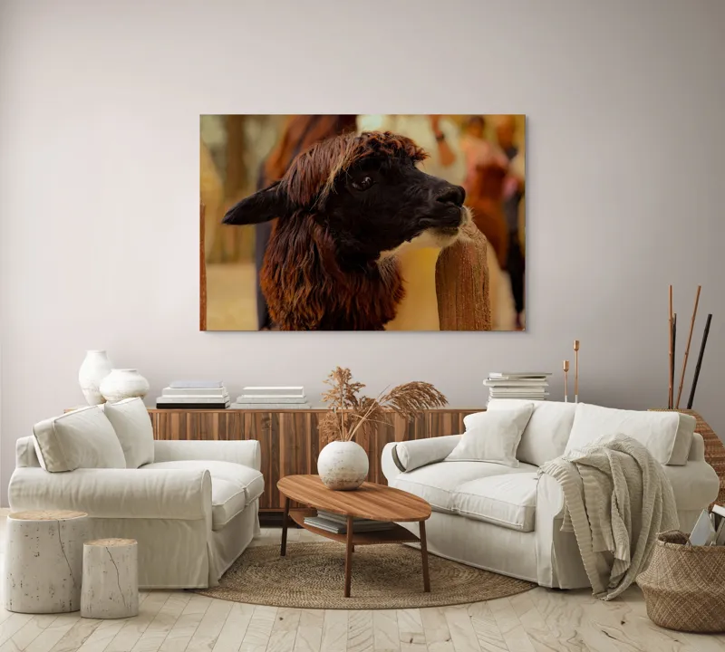 Tablou Canvas, "Capra neagră din incinta lemnoasă", 150 x 100 cm – poza 3