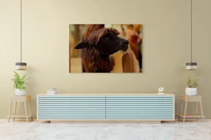 Tablou Canvas, "Capra neagră din incinta lemnoasă", 150 x 100 cm – poza 6