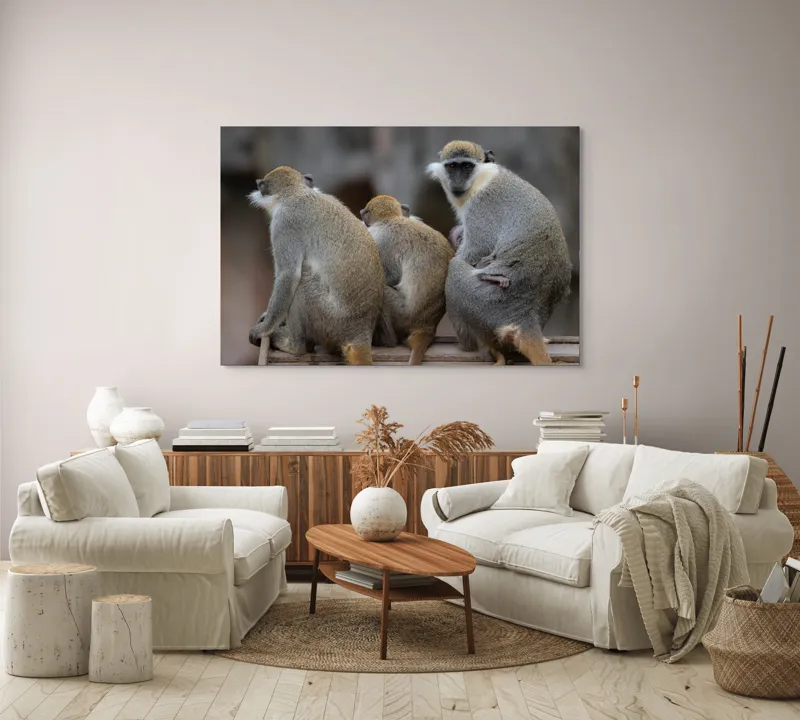 Tablou Canvas, "Trei maimuțe privind spre orizont", Maimuțe, Împreună, Blană, Cozi, Privire, Ochii, Natură, Grup, Spate, Relaxare., 150 x 100 cm – poza 3
