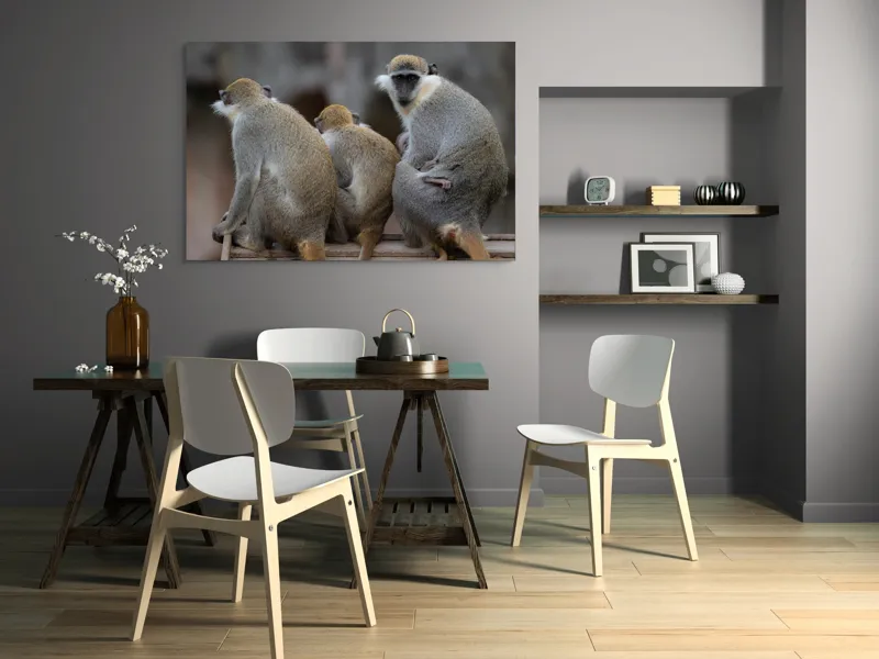 Tablou Canvas, "Trei maimuțe privind spre orizont", Maimuțe, Împreună, Blană, Cozi, Privire, Ochii, Natură, Grup, Spate, Relaxare., 150 x 100 cm – poza 5