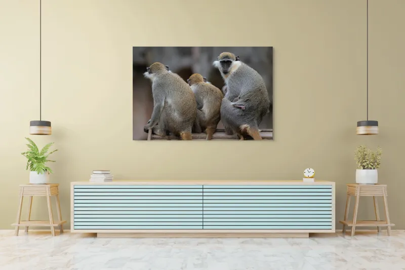 Tablou Canvas, "Trei maimuțe privind spre orizont", Maimuțe, Împreună, Blană, Cozi, Privire, Ochii, Natură, Grup, Spate, Relaxare., 150 x 100 cm – poza 6