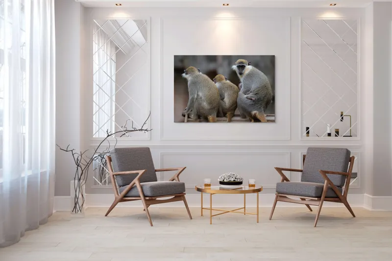Tablou Canvas, "Trei maimuțe privind spre orizont", Maimuțe, Împreună, Blană, Cozi, Privire, Ochii, Natură, Grup, Spate, Relaxare., 150 x 100 cm – poza 7