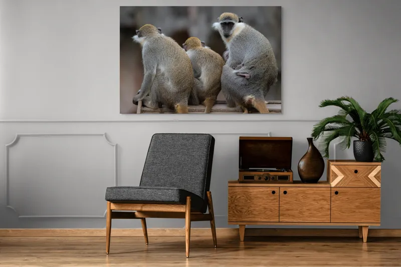 Tablou Canvas, "Trei maimuțe privind spre orizont", Maimuțe, Împreună, Blană, Cozi, Privire, Ochii, Natură, Grup, Spate, Relaxare., 150 x 100 cm – poza 8