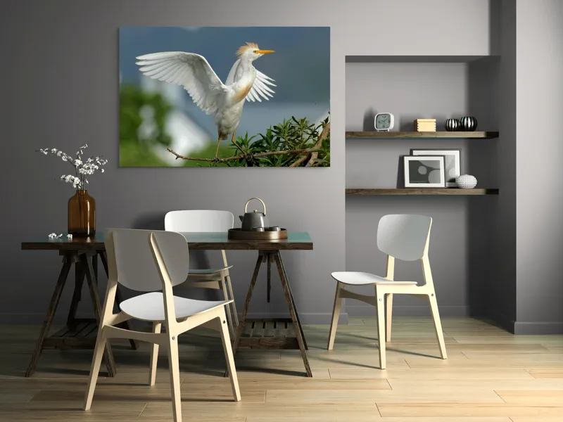 Tablou Canvas, "Egreta desfășurându-și aripile în zori", Pasăre, Albă, Aripi, Ramură, Cer, Peisaj, Natură, Eleganță, Plante, 150 x 100 cm – poza 5