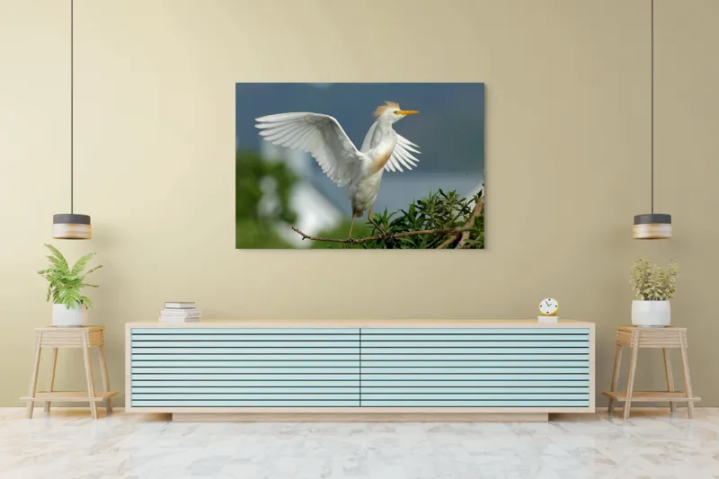 Tablou Canvas, "Egreta desfășurându-și aripile în zori", Pasăre, Albă, Aripi, Ramură, Cer, Peisaj, Natură, Eleganță, Plante, 150 x 100 cm – poza 6