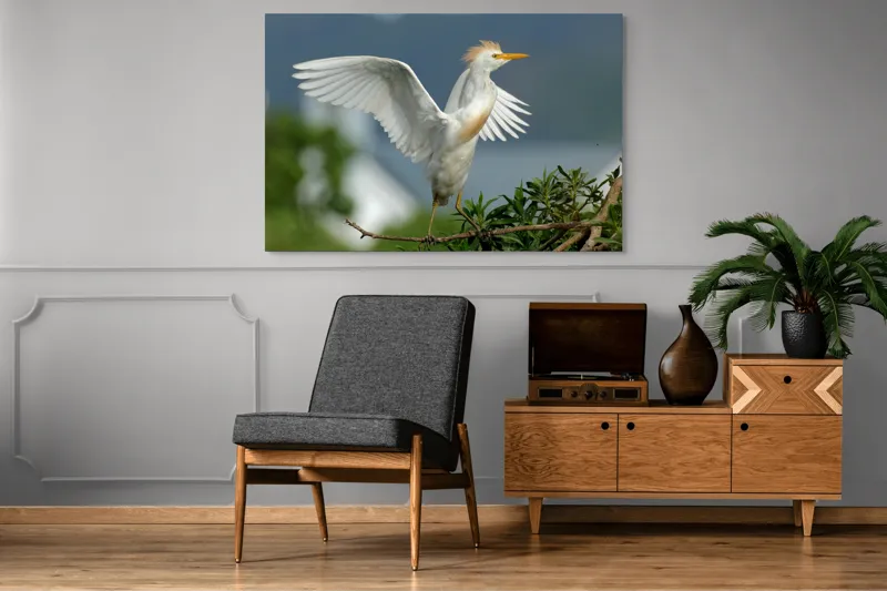 Tablou Canvas, "Egreta desfășurându-și aripile în zori", Pasăre, Albă, Aripi, Ramură, Cer, Peisaj, Natură, Eleganță, Plante, 150 x 100 cm – poza 8