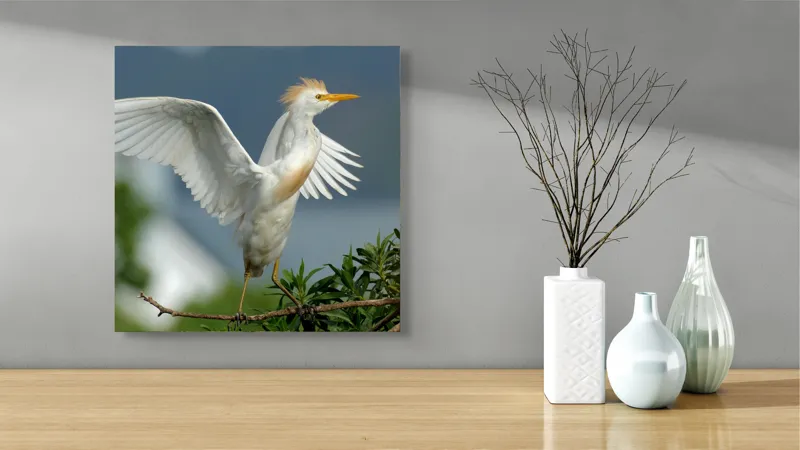 Tablou Canvas, "Egreta desfășurându-și aripile în zori", Pasăre, Albă, Aripi, Ramură, Cer, Peisaj, Natură, Eleganță, Plante, 50 x 50 cm – poza 3