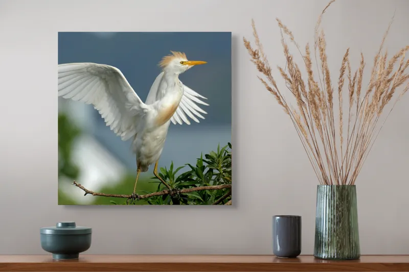 Tablou Canvas, "Egreta desfășurându-și aripile în zori", Pasăre, Albă, Aripi, Ramură, Cer, Peisaj, Natură, Eleganță, Plante, 50 x 50 cm – poza 4