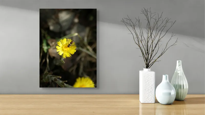 Tablou Canvas, "Albina pe floarea strălucitoare a primăverii", Floare, Galben, Albină, Delicat, Primăvară, Natură, Vibrant, Frumusețe, Nectar., 39 x 54 cm – poza 4