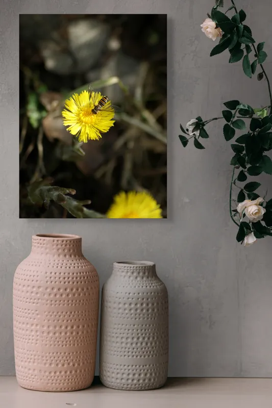 Tablou Canvas, "Albina pe floarea strălucitoare a primăverii", Floare, Galben, Albină, Delicat, Primăvară, Natură, Vibrant, Frumusețe, Nectar., 39 x 54 cm – poza 6